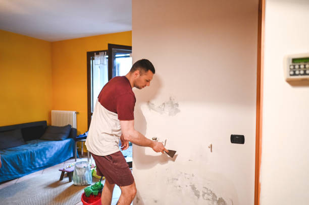 Trusted Durant, MS Mold Removal Experts